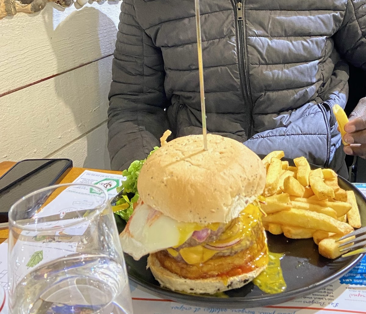 Mouettes À Bord Photos 2